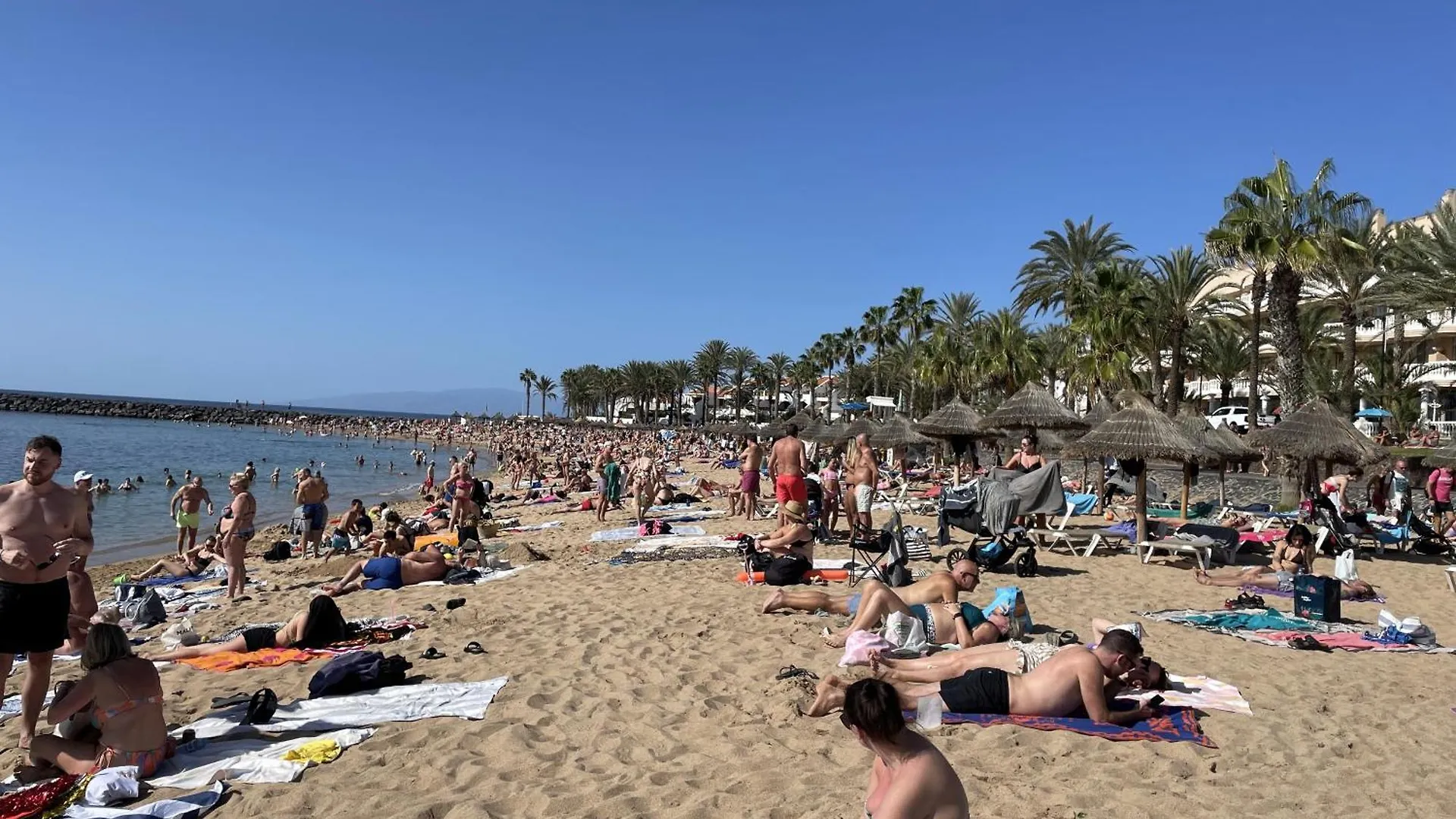 Appartamento Edificio Gloria Los Cristianos  Spagna